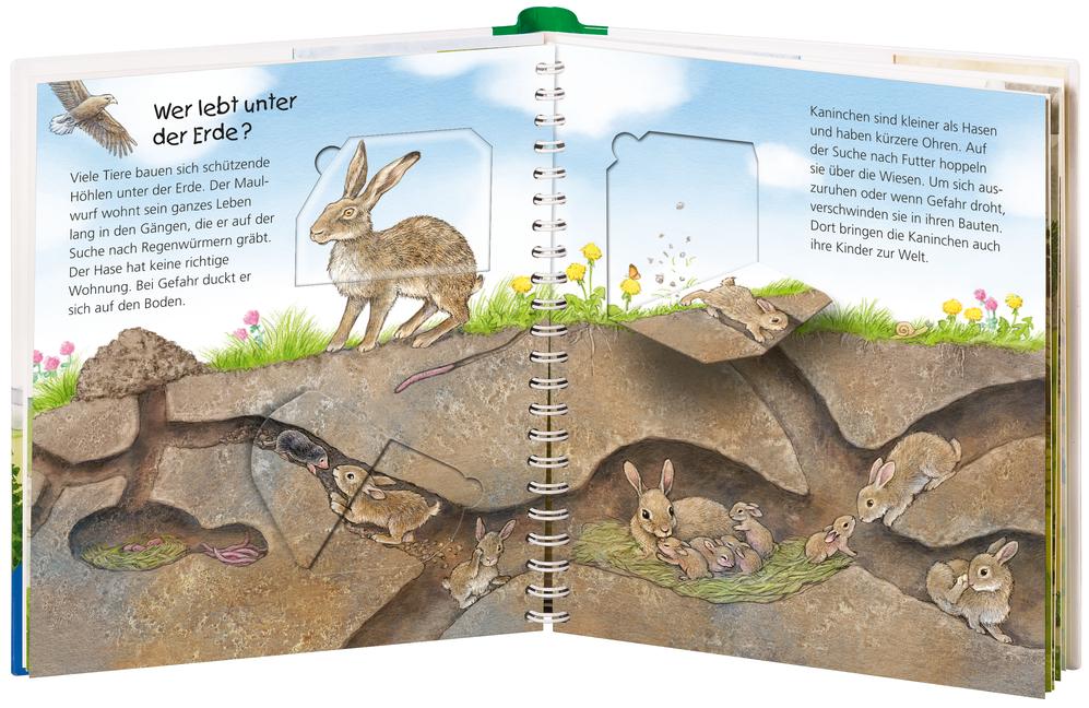 Beispielinhalt (Bild) Wieso? Weshalb? Warum? junior, Band 46: Wo die Tiere wohnen