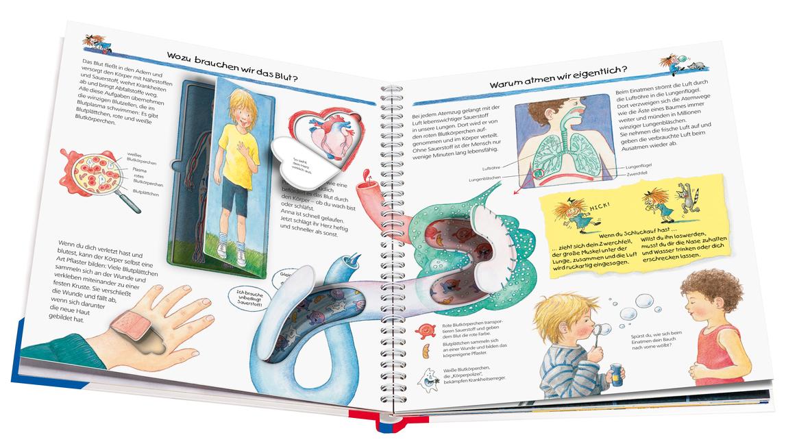 Beispielinhalt (Bild) Wieso? Weshalb? Warum?, Band 1: Wir entdecken unseren Körper