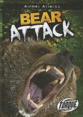 Vorderes Coverbild Bear Attack