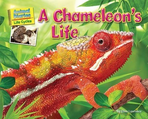 Vorderes Coverbild A Chameleon's Life
