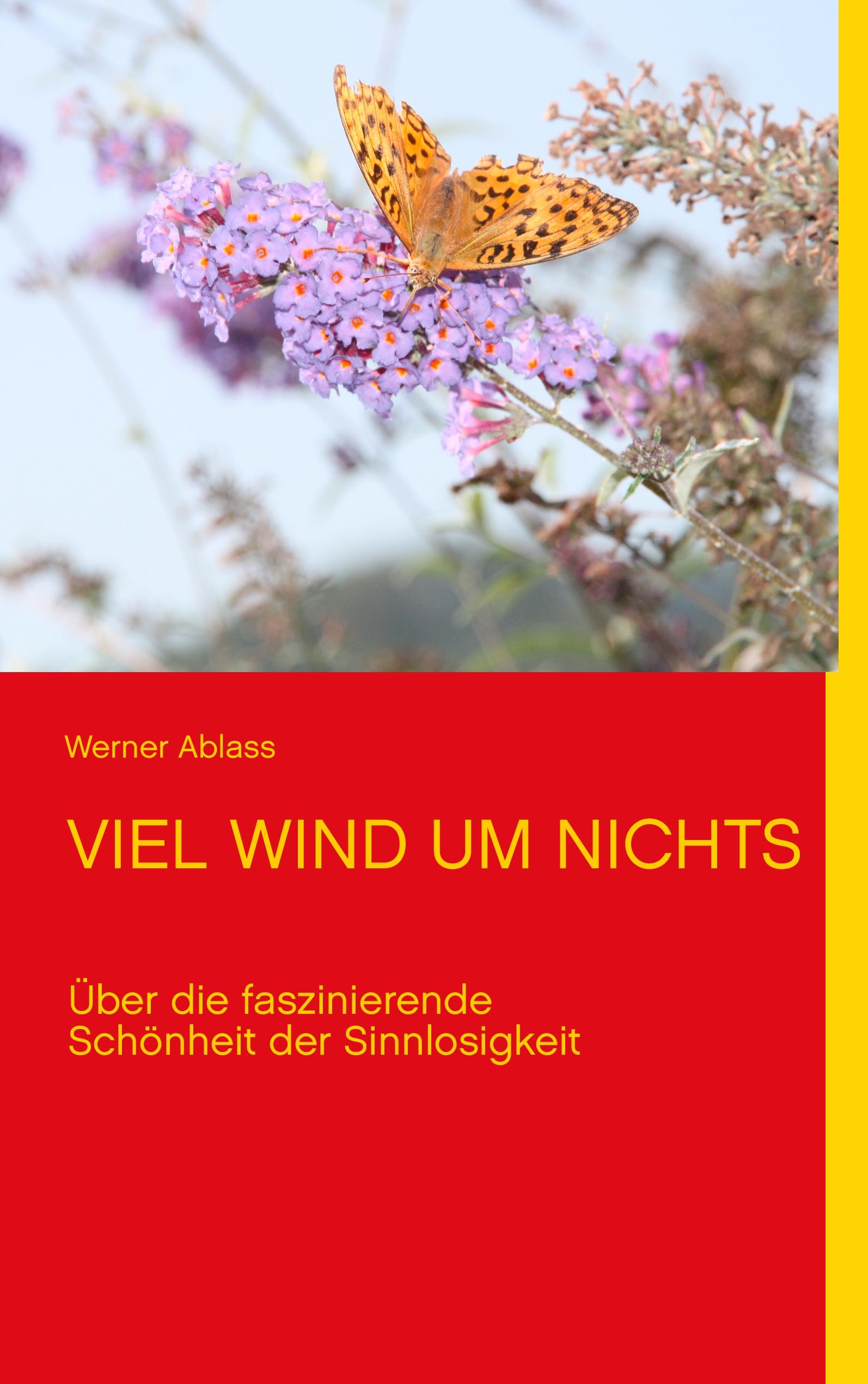 Vorderes Coverbild VIEL WIND UM NICHTS