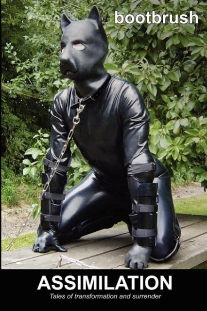 Vorderes Coverbild Assimilation: Tales of transformation and surrender