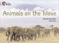 Vorderes Coverbild Animals on the Move