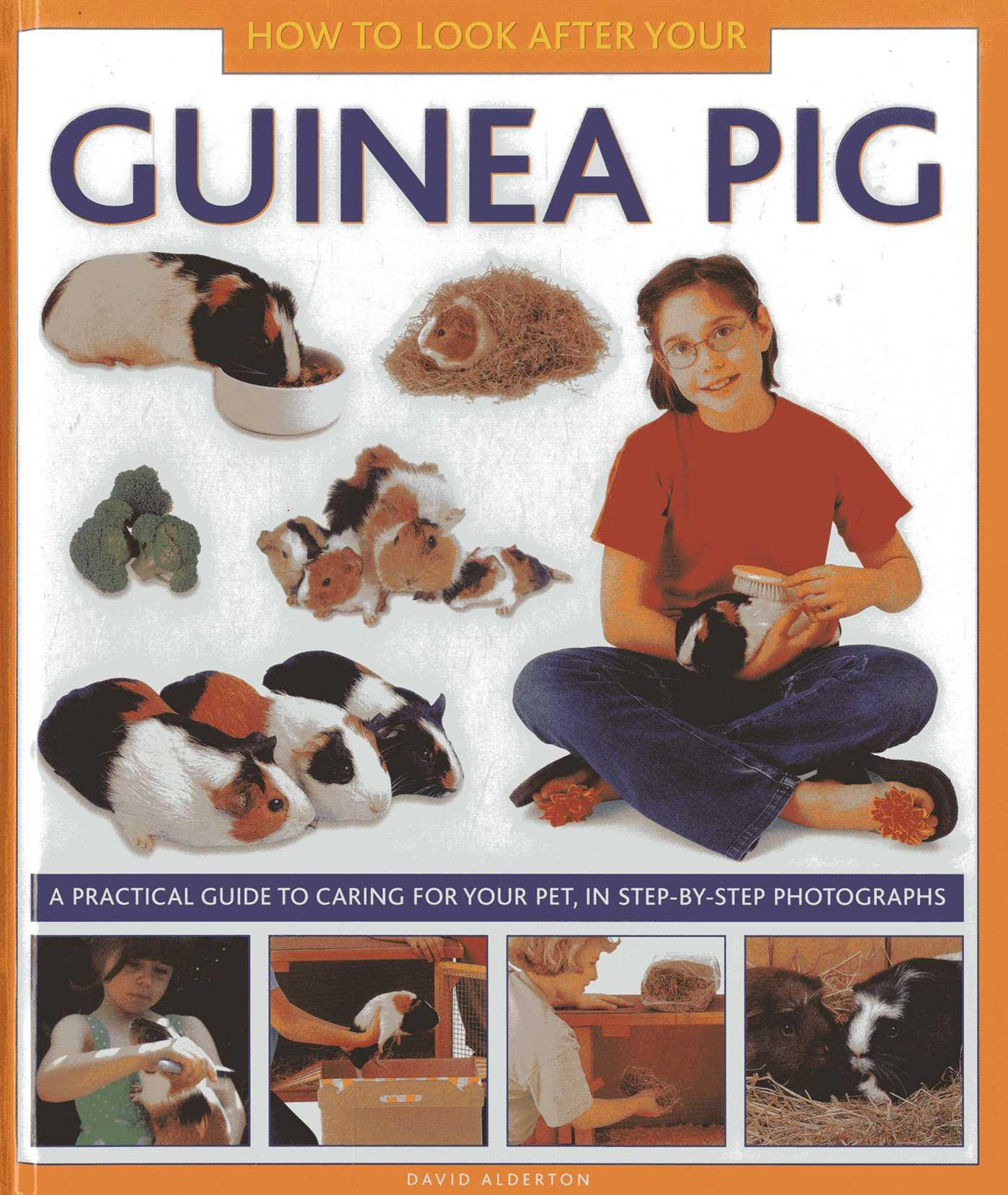 Vorderes Coverbild How to Look After Your Guinea Pig
