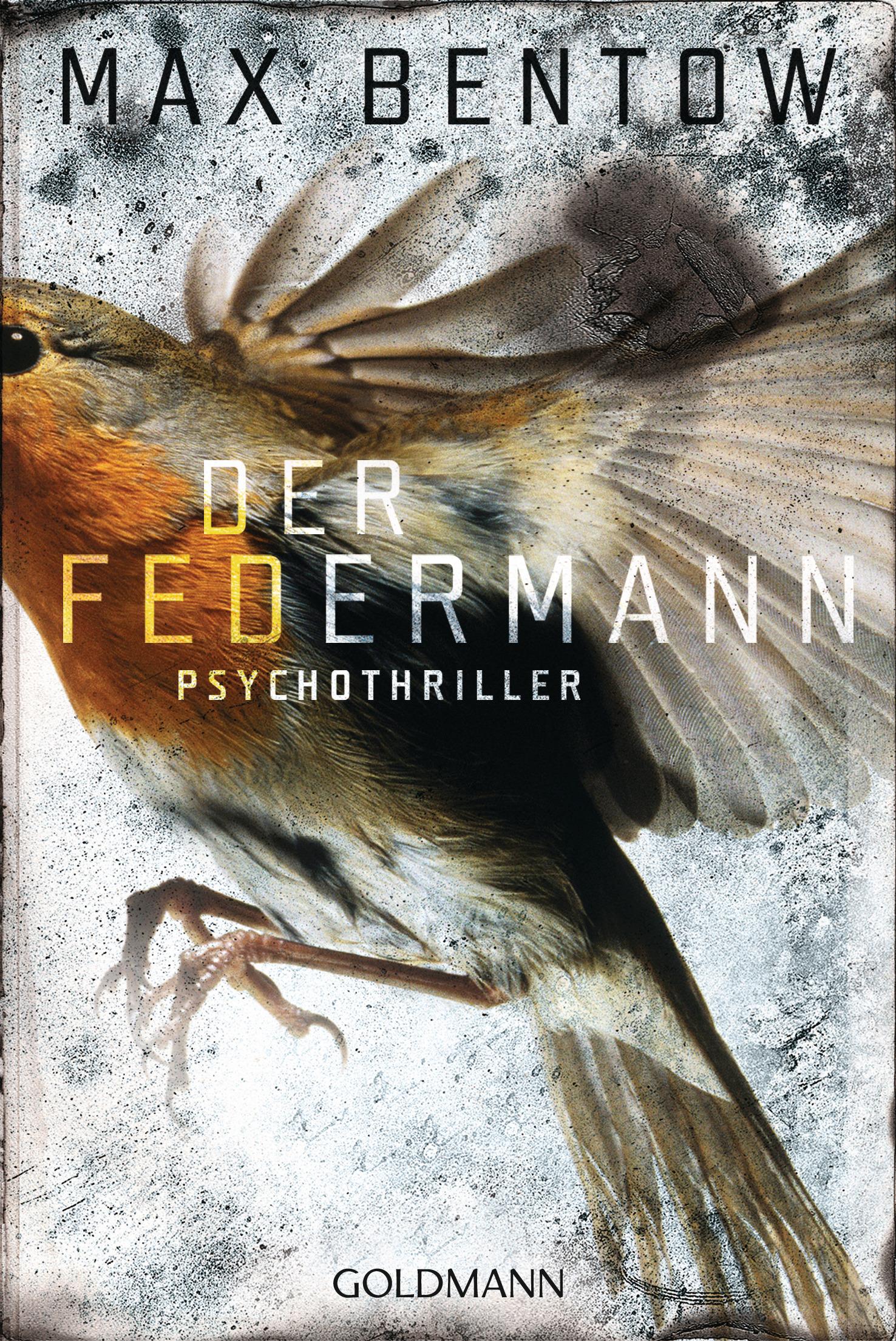 Vorderes Coverbild Der Federmann