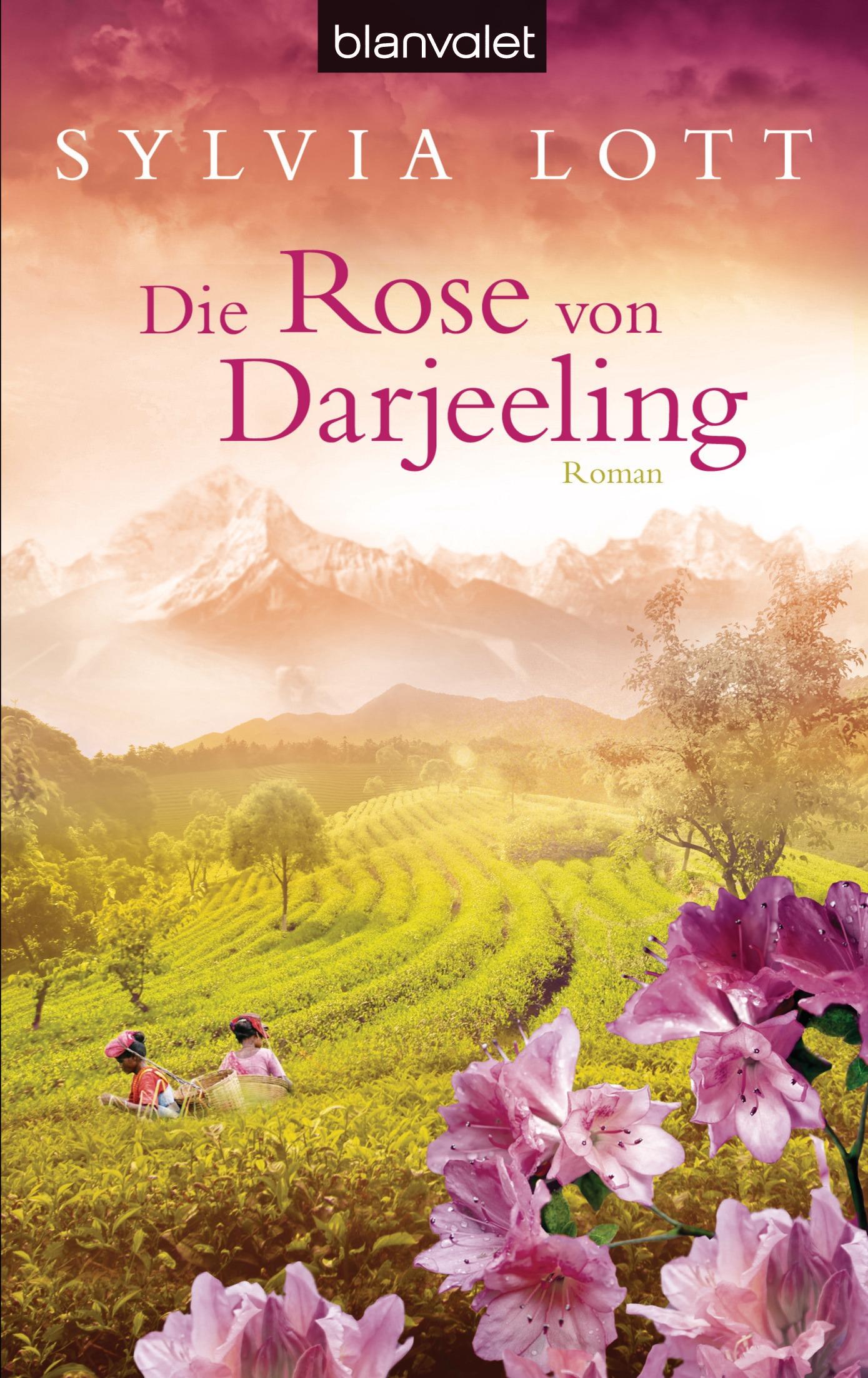 Vorderes Coverbild Die Rose von Darjeeling