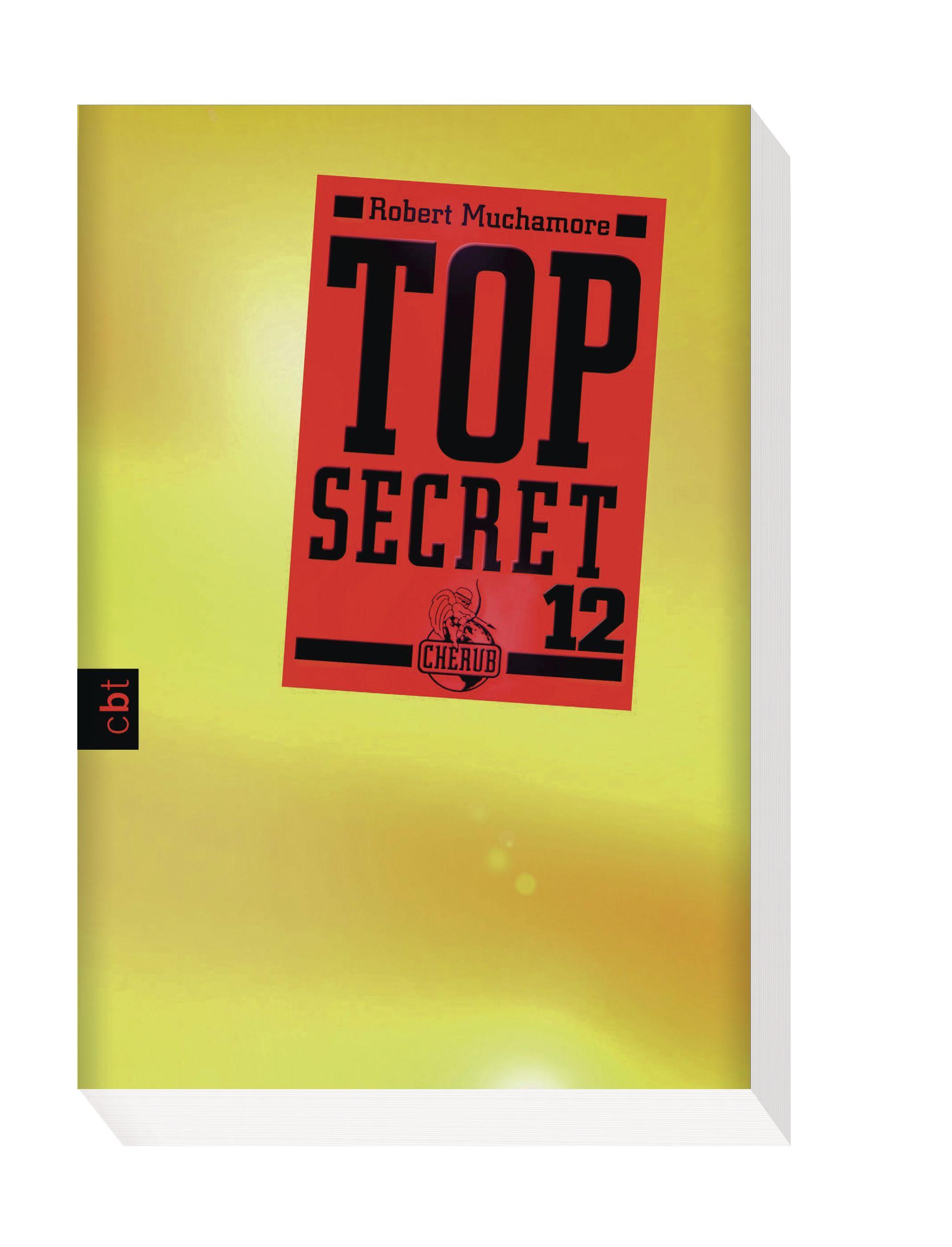 Beispielinhalt (Bild) Top Secret 12 - Die Entscheidung