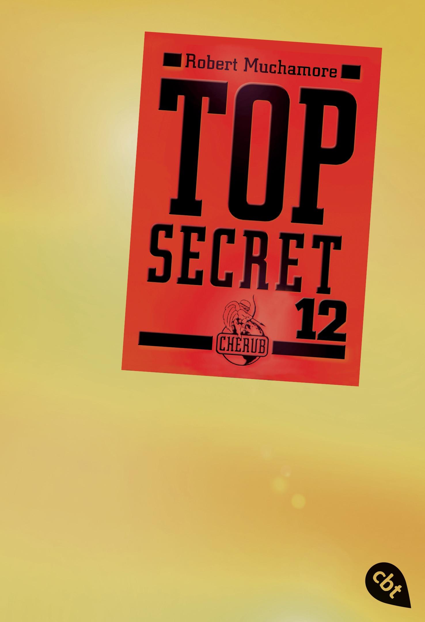 Vorderes Coverbild Top Secret 12 - Die Entscheidung