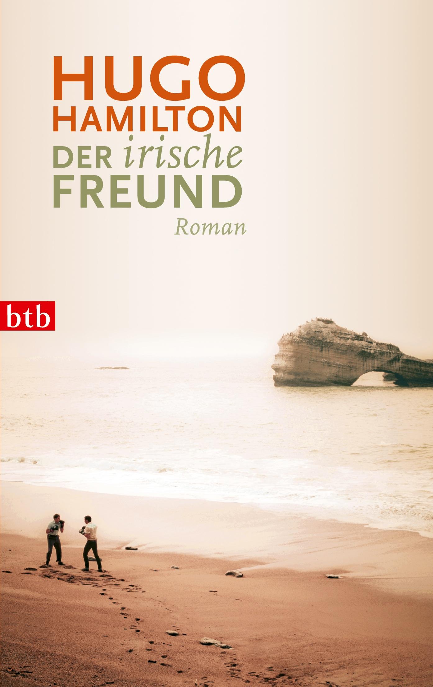 Vorderes Coverbild Der irische Freund