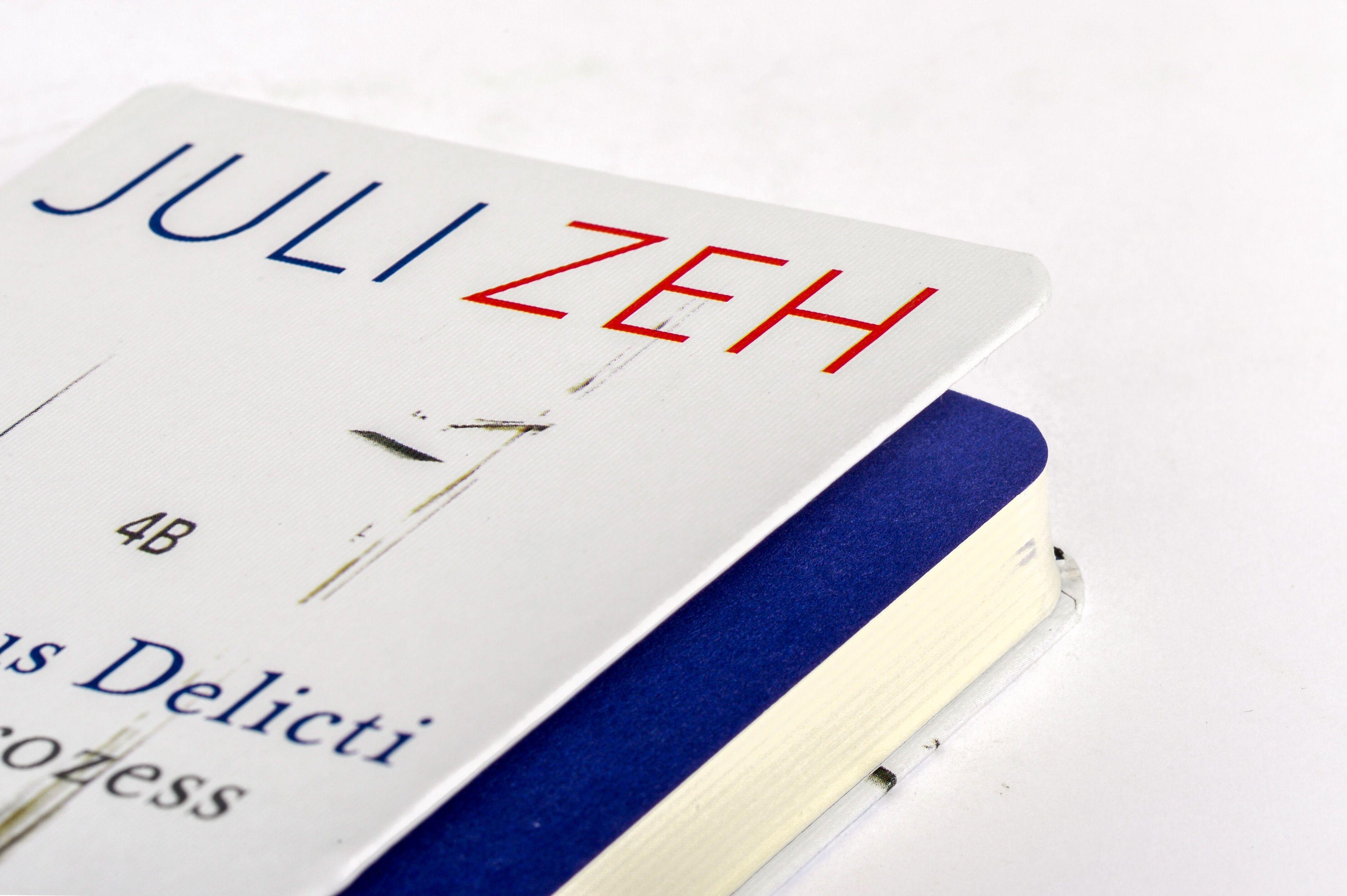 Beispielinhalt (Bild) Corpus Delicti