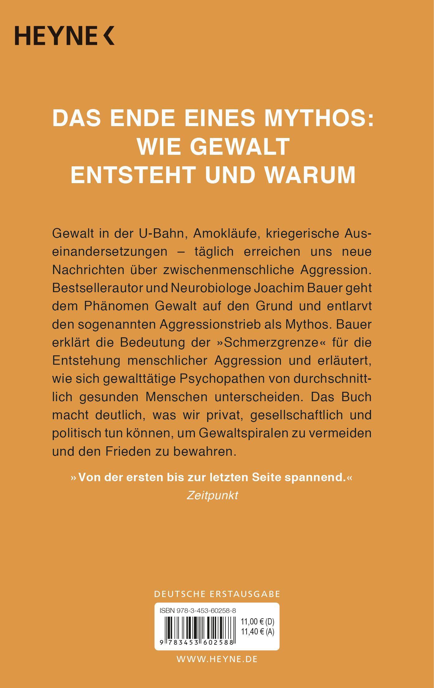 Beispielinhalt (Bild) Schmerzgrenze