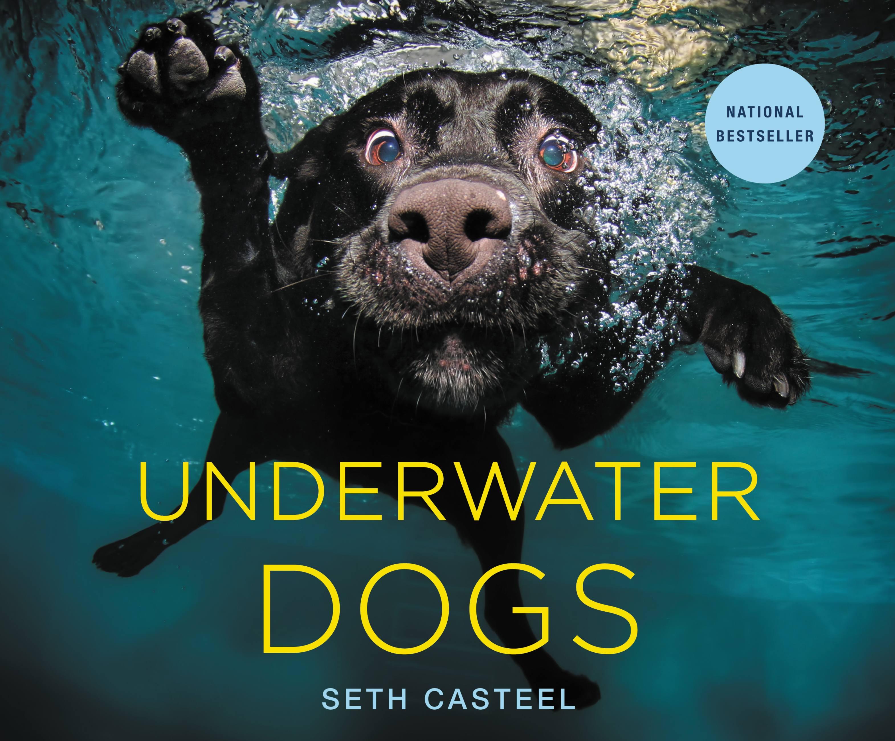 Vorderes Coverbild Underwater Dogs