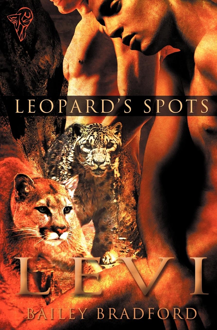 Vorderes Coverbild Levi