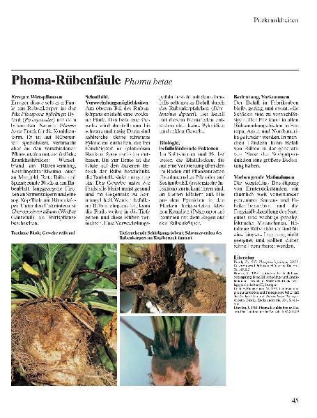Beispielinhalt (Bild) Zuckerrübe  Krankheiten - Schädlinge - Unkräuter