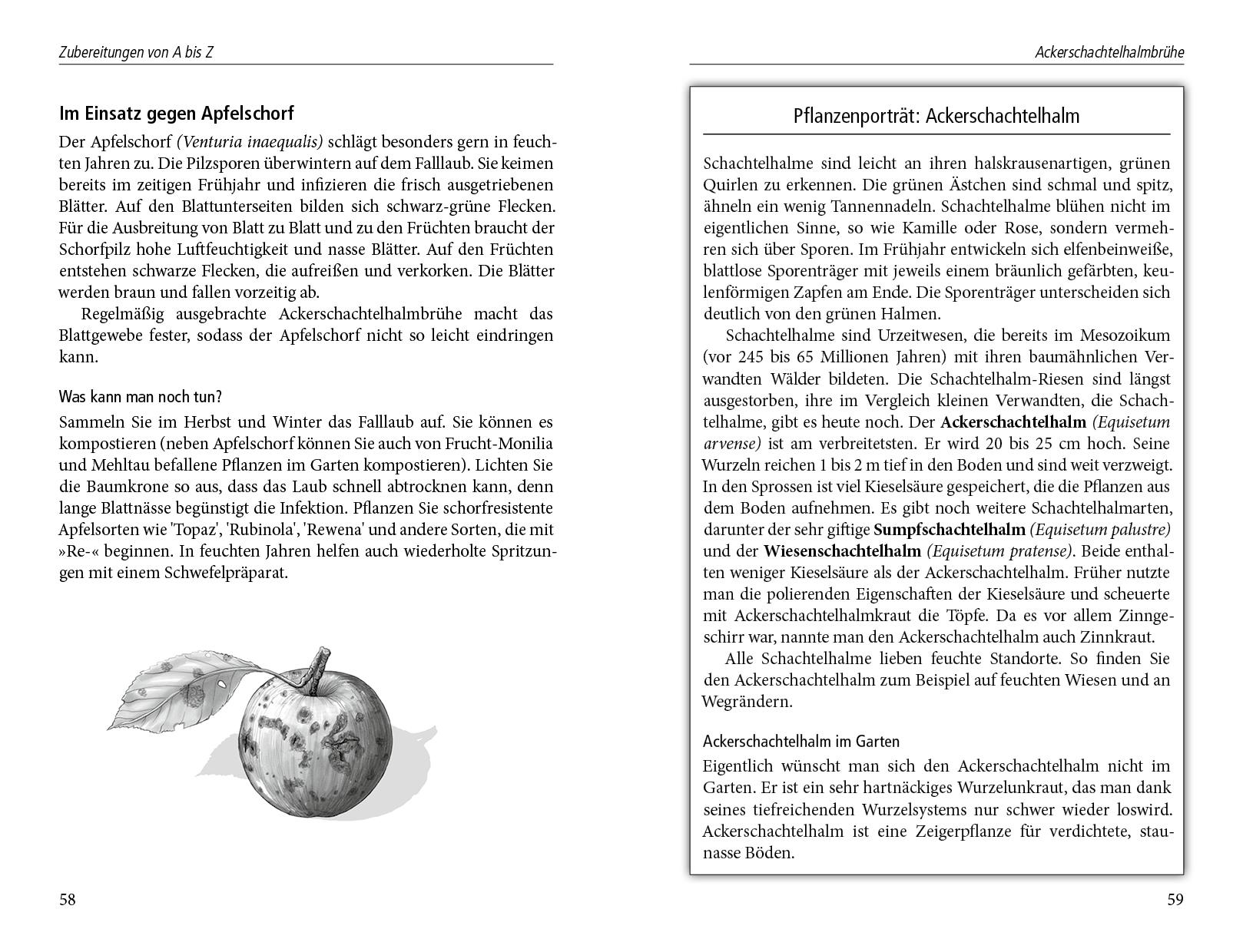 Beispielinhalt (Bild) Beinwelljauche, Knoblauchtee & Co.