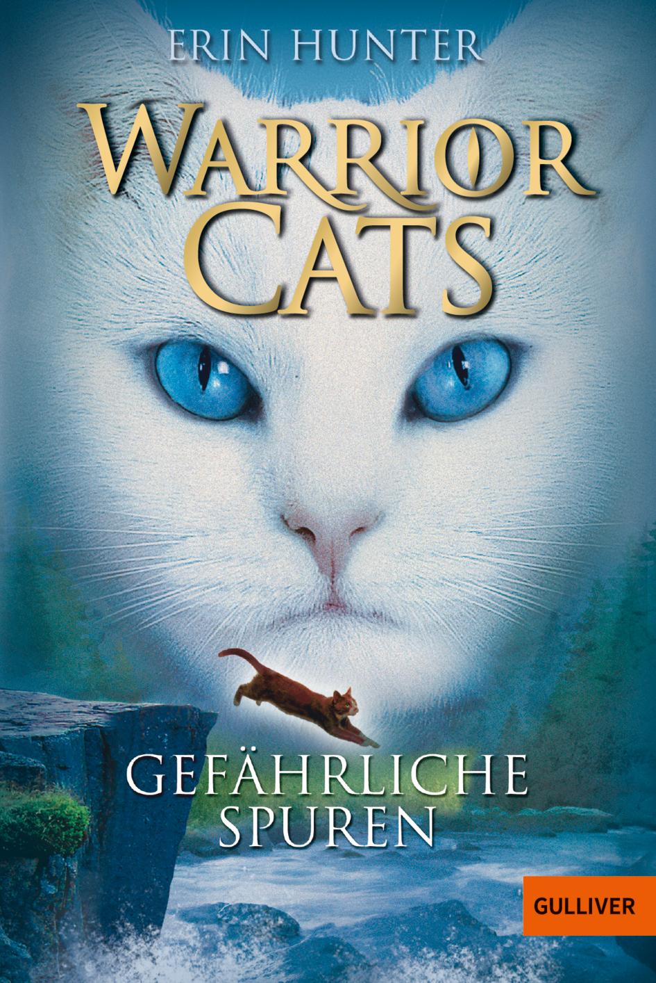 Vorderes Coverbild Warrior Cats Staffel 1/05. Gefährliche Spuren