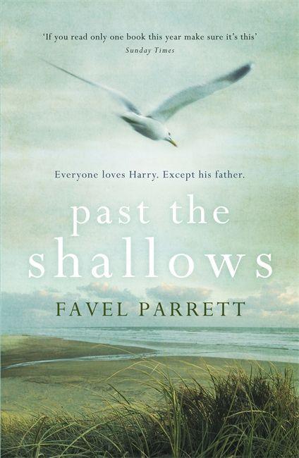 Vorderes Coverbild Past the Shallows