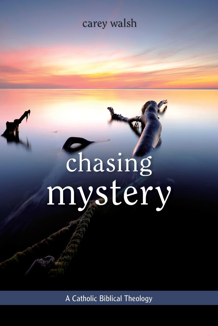 Vorderes Coverbild Chasing Mystery
