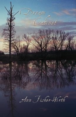 Vorderes Coverbild Dream Cabinet