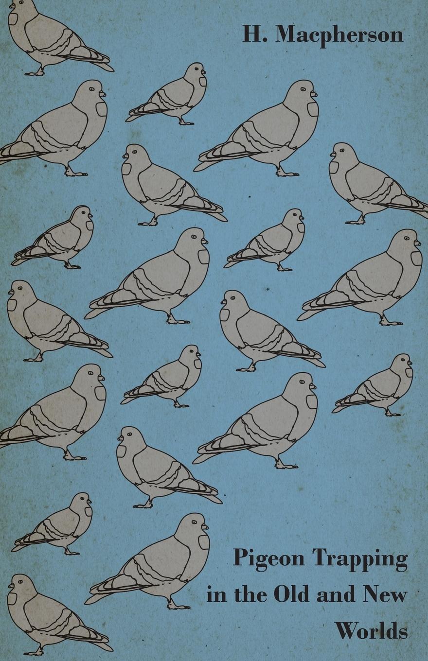 Vorderes Coverbild Pigeon Trapping in the Old and New Worlds