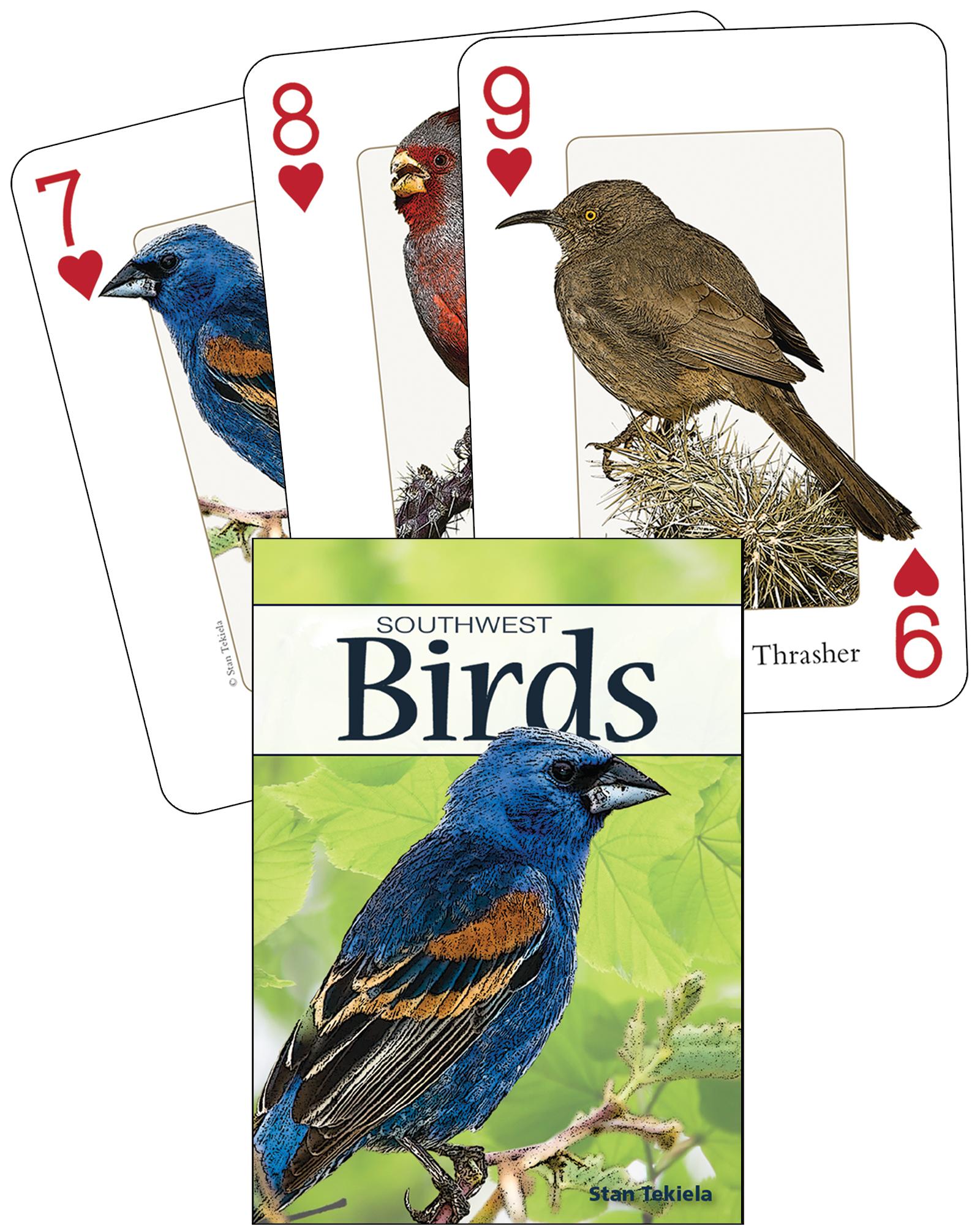Vorderes Coverbild Birds of the Southwest