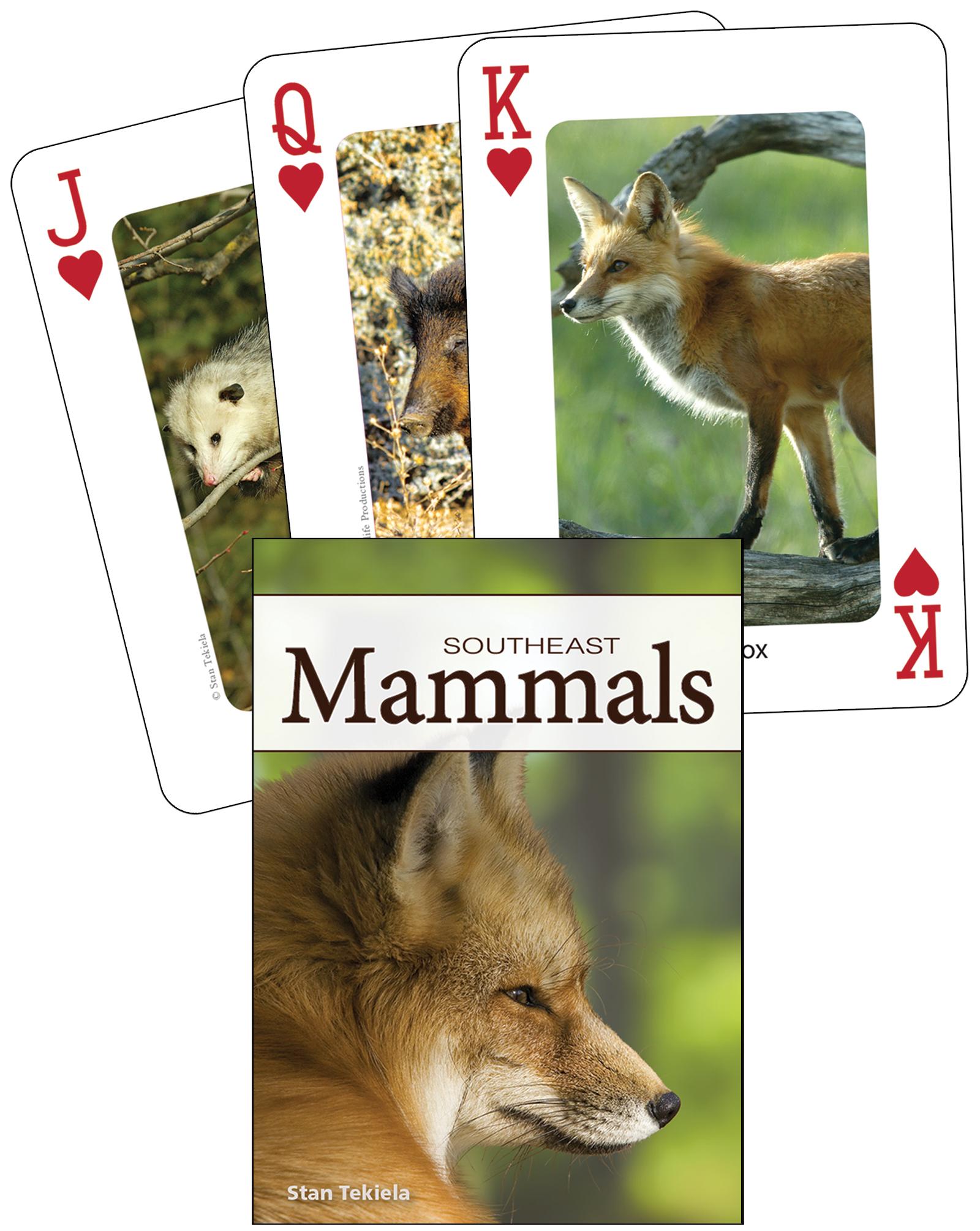 Vorderes Coverbild Mammals of the Southeast