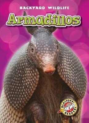 Vorderes Coverbild Armadillos