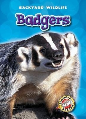 Vorderes Coverbild Badgers