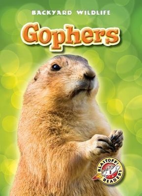 Vorderes Coverbild Gophers