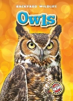 Vorderes Coverbild Owls