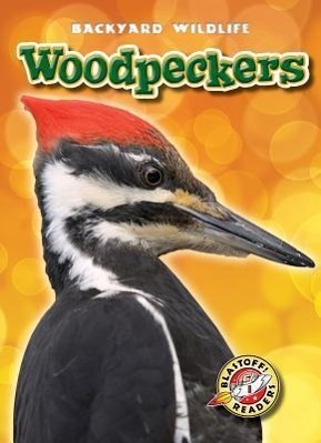 Vorderes Coverbild Woodpeckers