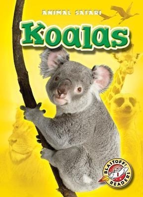 Vorderes Coverbild Koalas