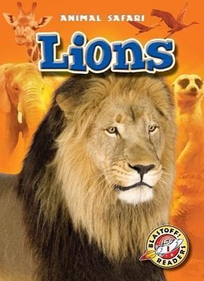 Vorderes Coverbild Lions