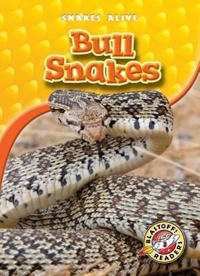 Vorderes Coverbild Bull Snakes