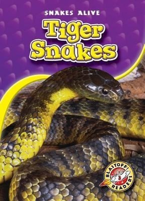 Vorderes Coverbild Tiger Snakes
