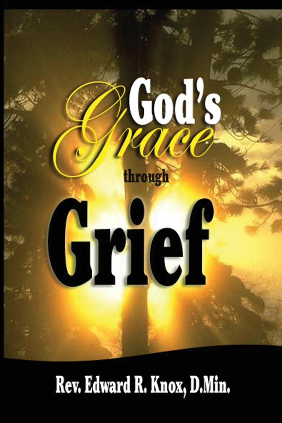Vorderes Coverbild God's Grace through Grief