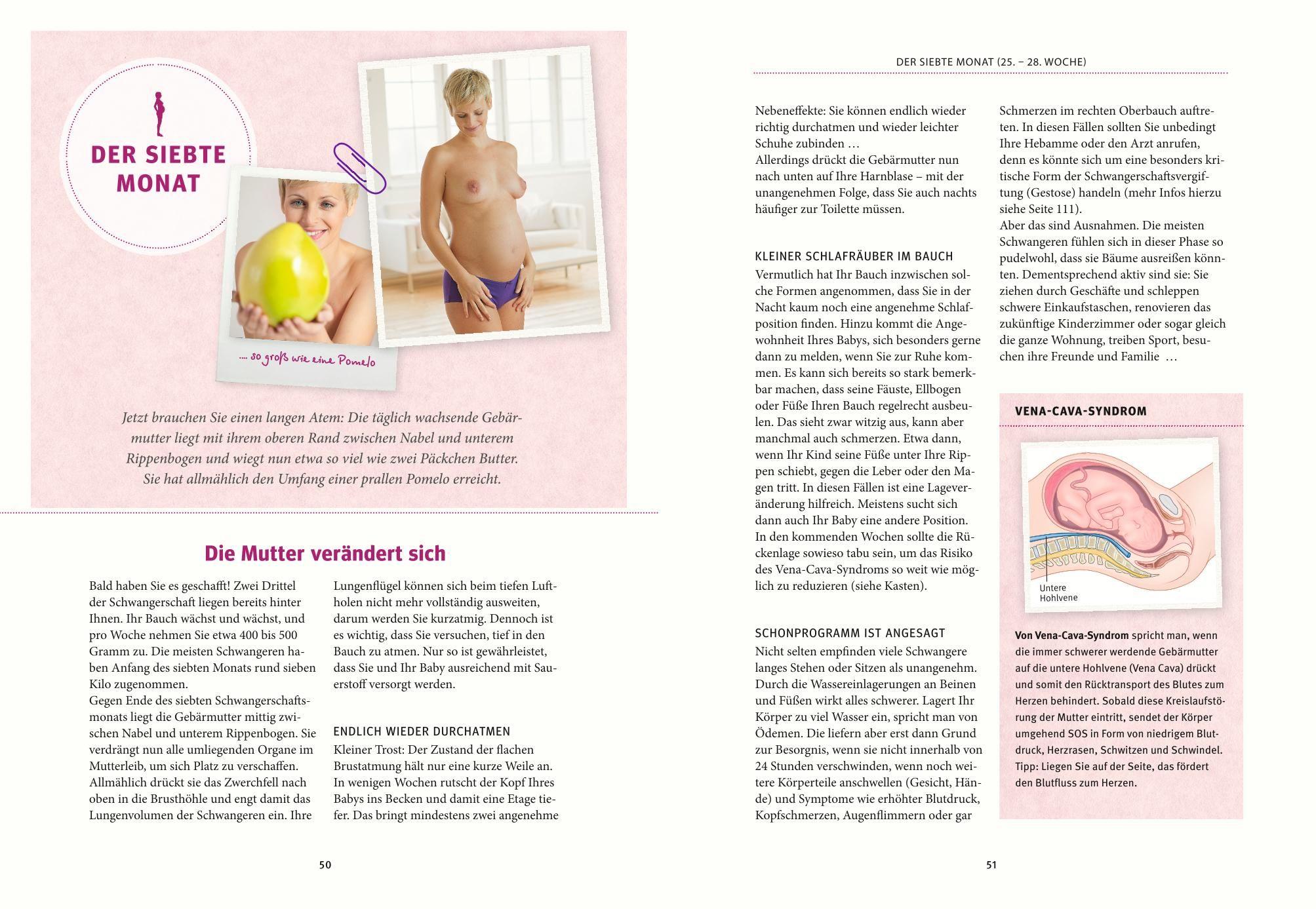 Beispielinhalt (Bild) Schwangerschaft und Geburt