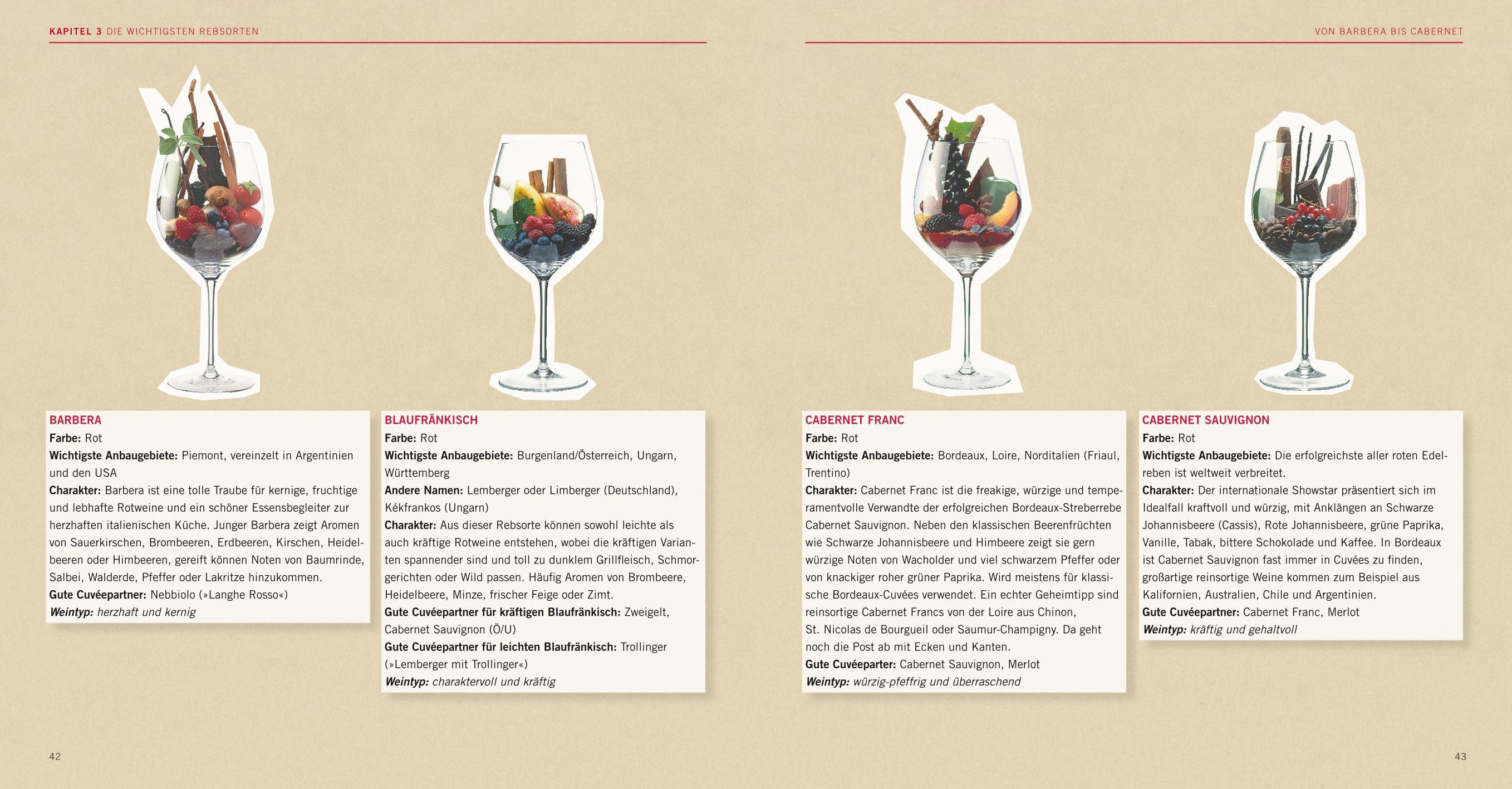 Beispielinhalt (Bild) Crashkurs Wein