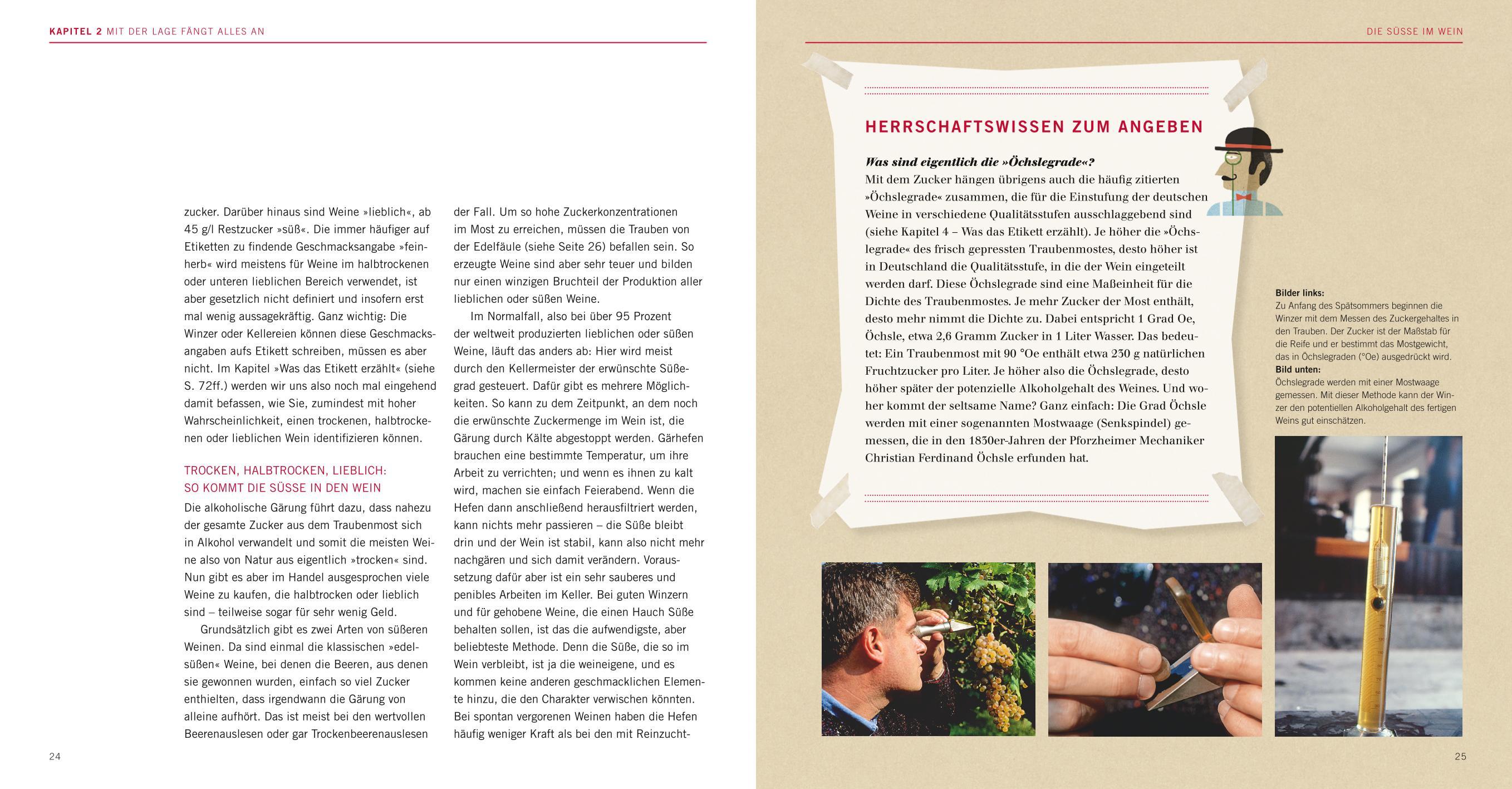 Beispielinhalt (Bild) Crashkurs Wein