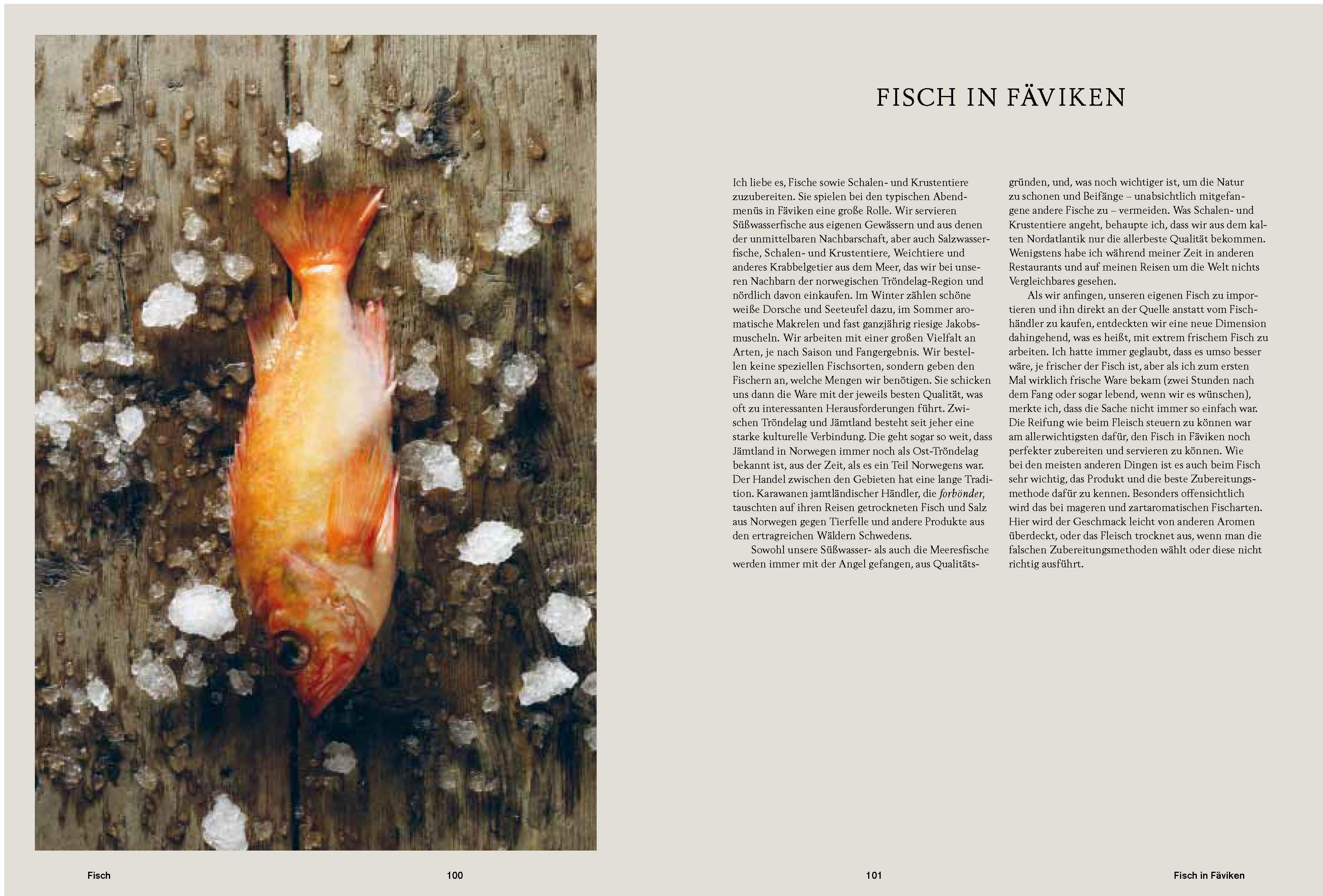 Beispielinhalt (Bild) Fäviken