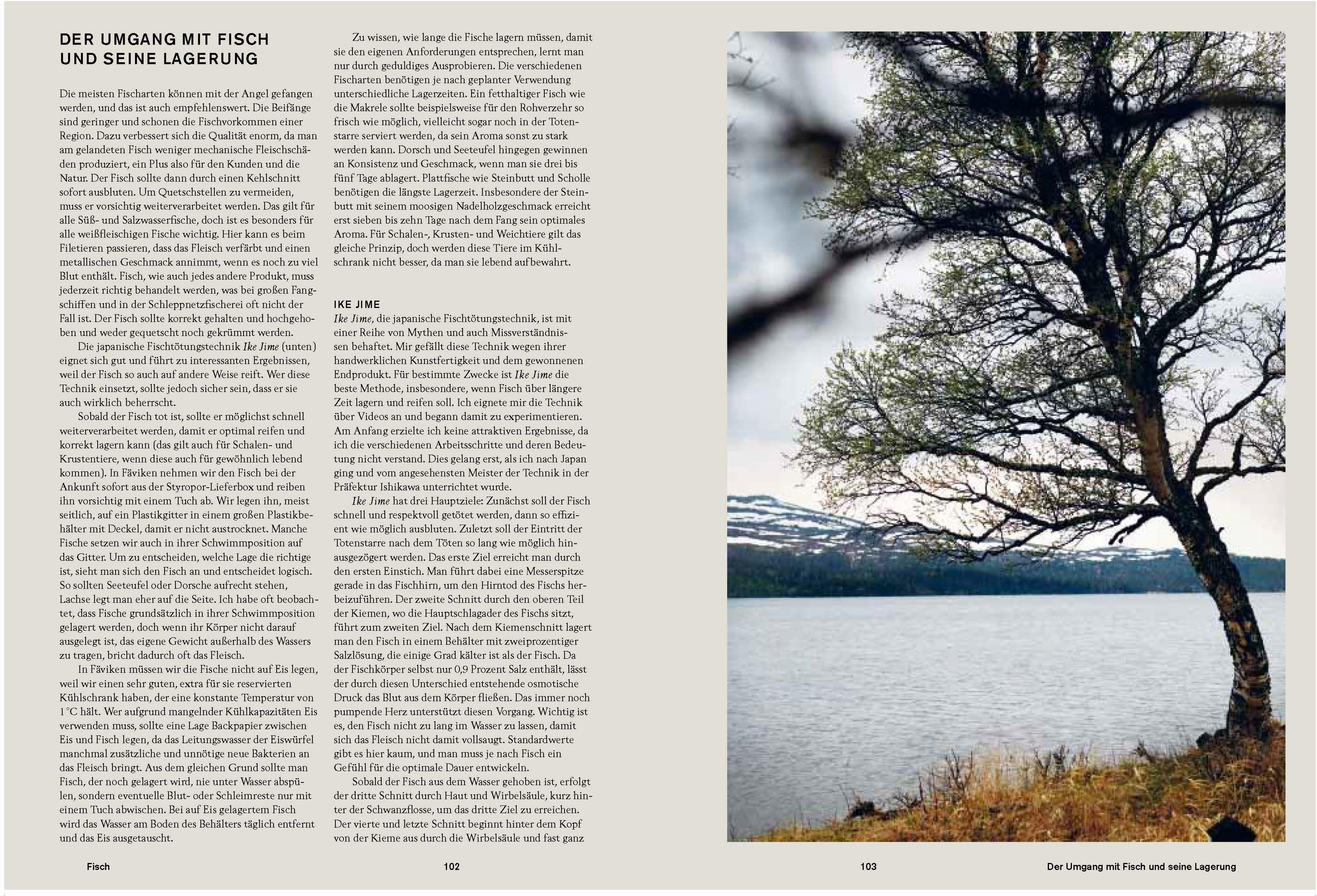 Beispielinhalt (Bild) Fäviken