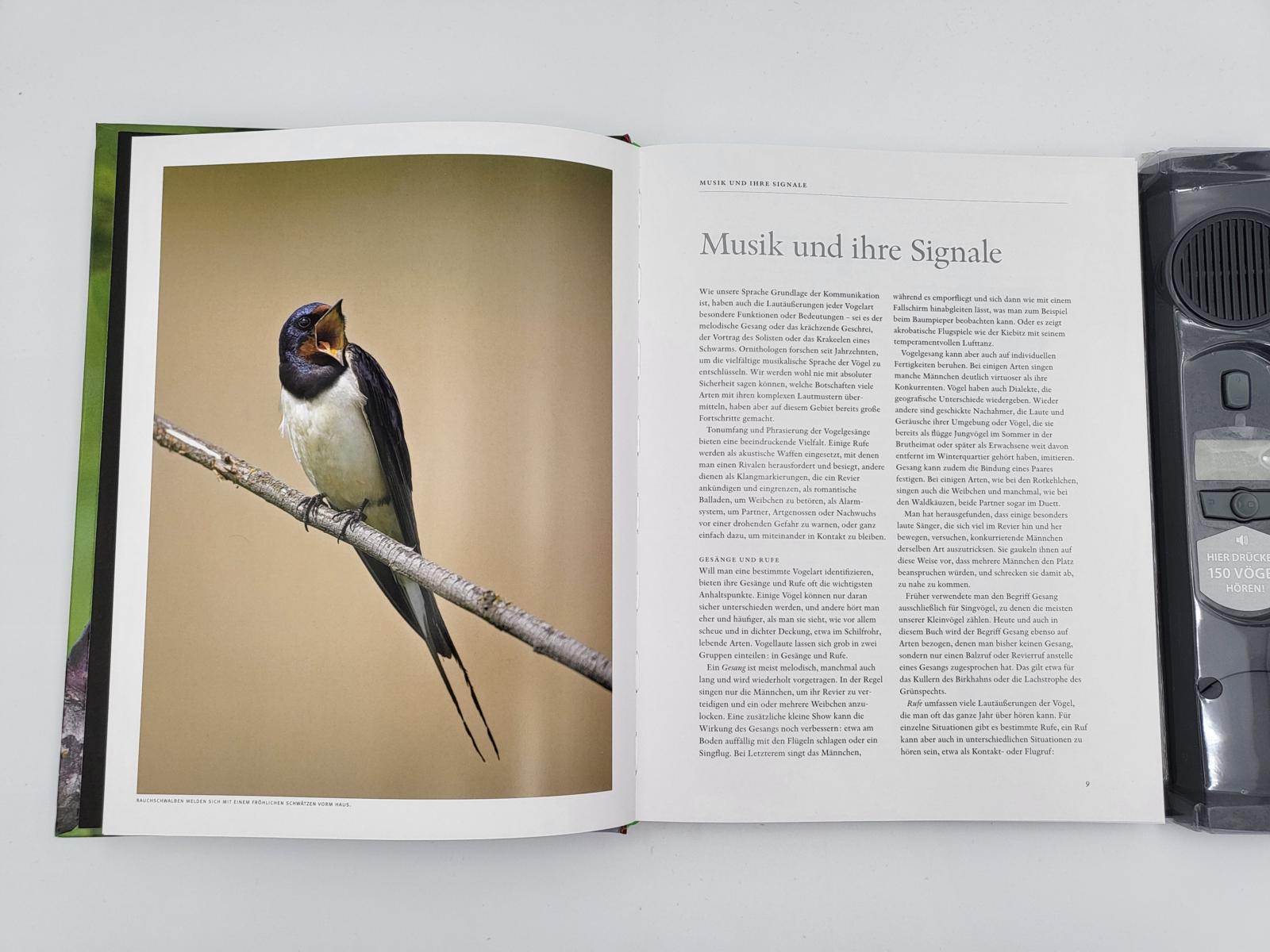 Beispielinhalt (Bild) Vogelstimmen