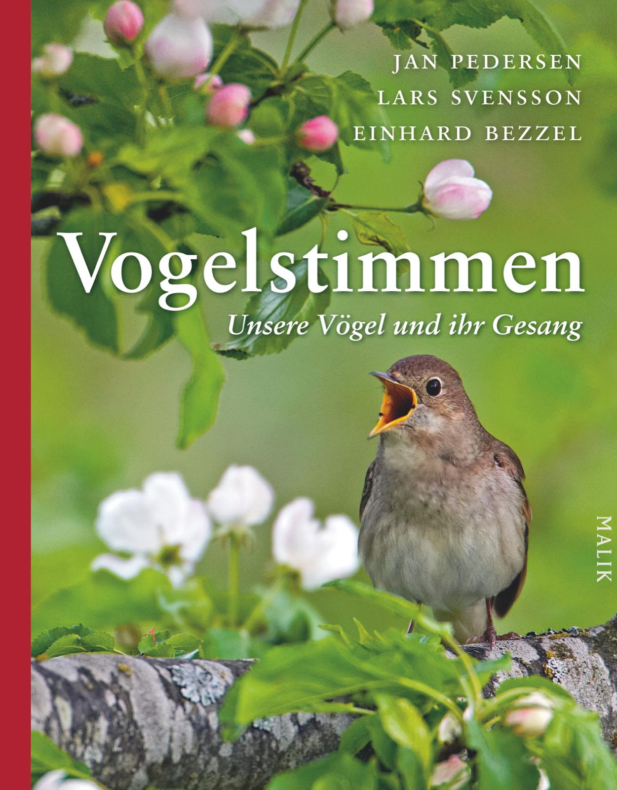 Vorderes Coverbild Vogelstimmen