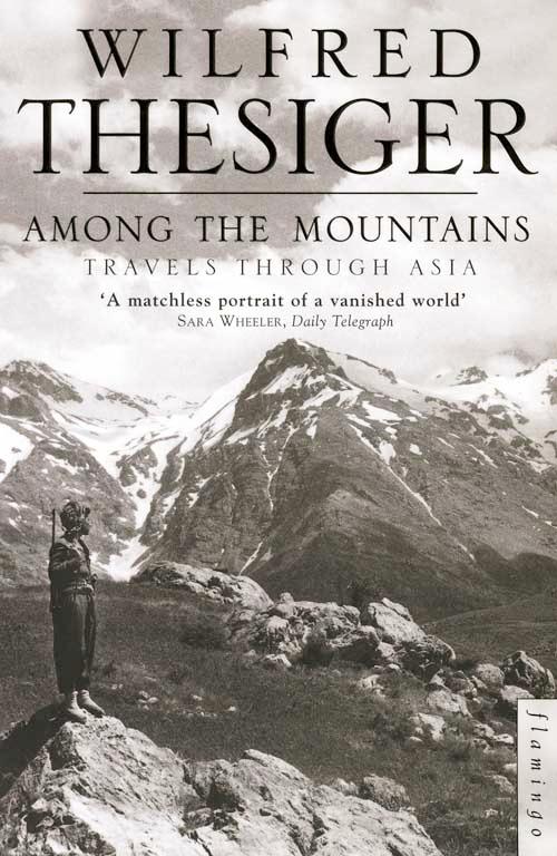 Vorderes Coverbild Among the Mountains