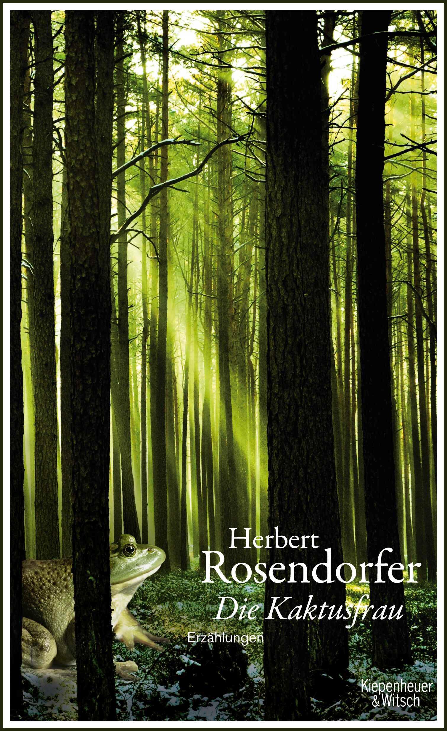 Vorderes Coverbild Die Kaktusfrau
