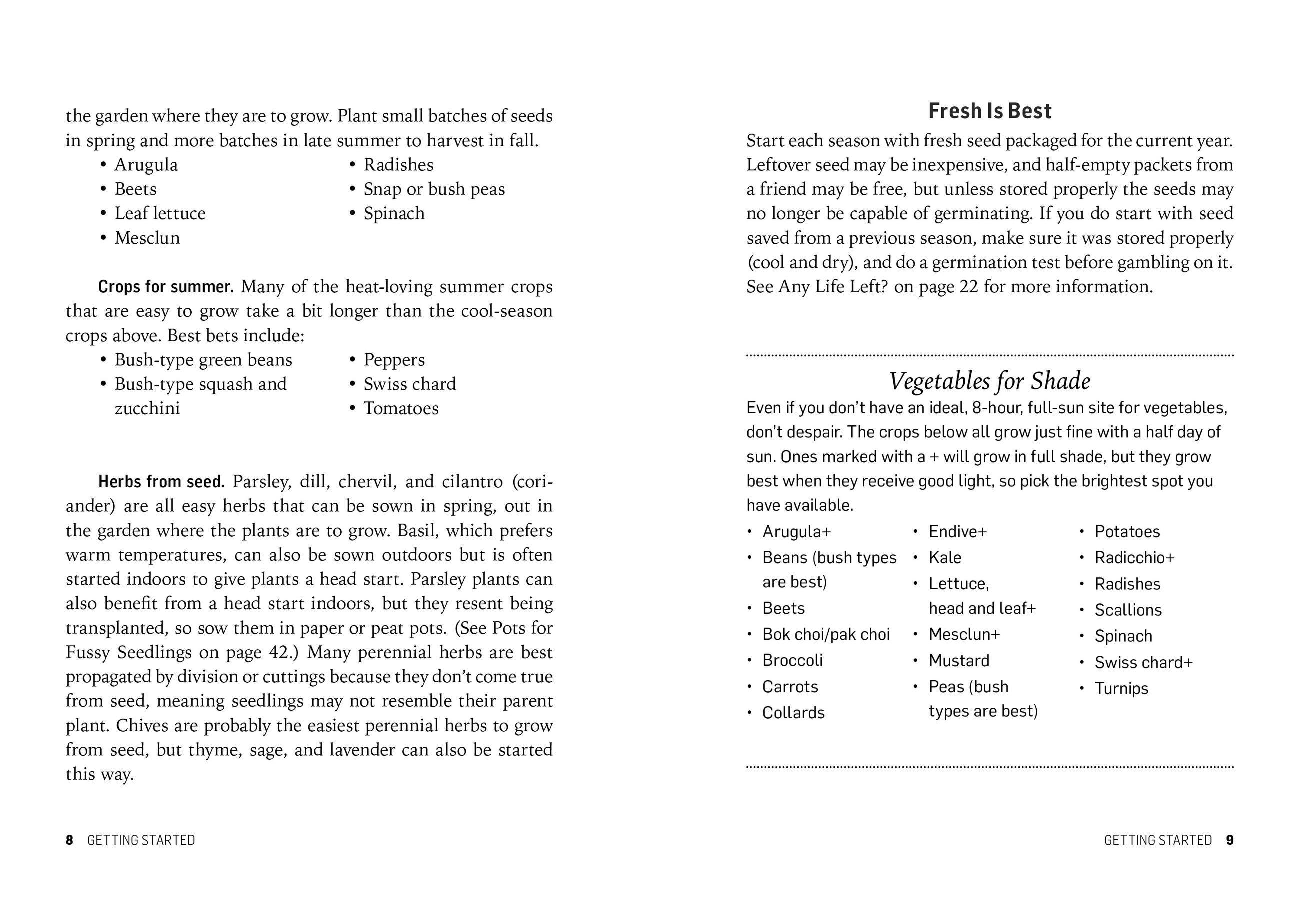 Beispielinhalt (Bild) Starting Seeds