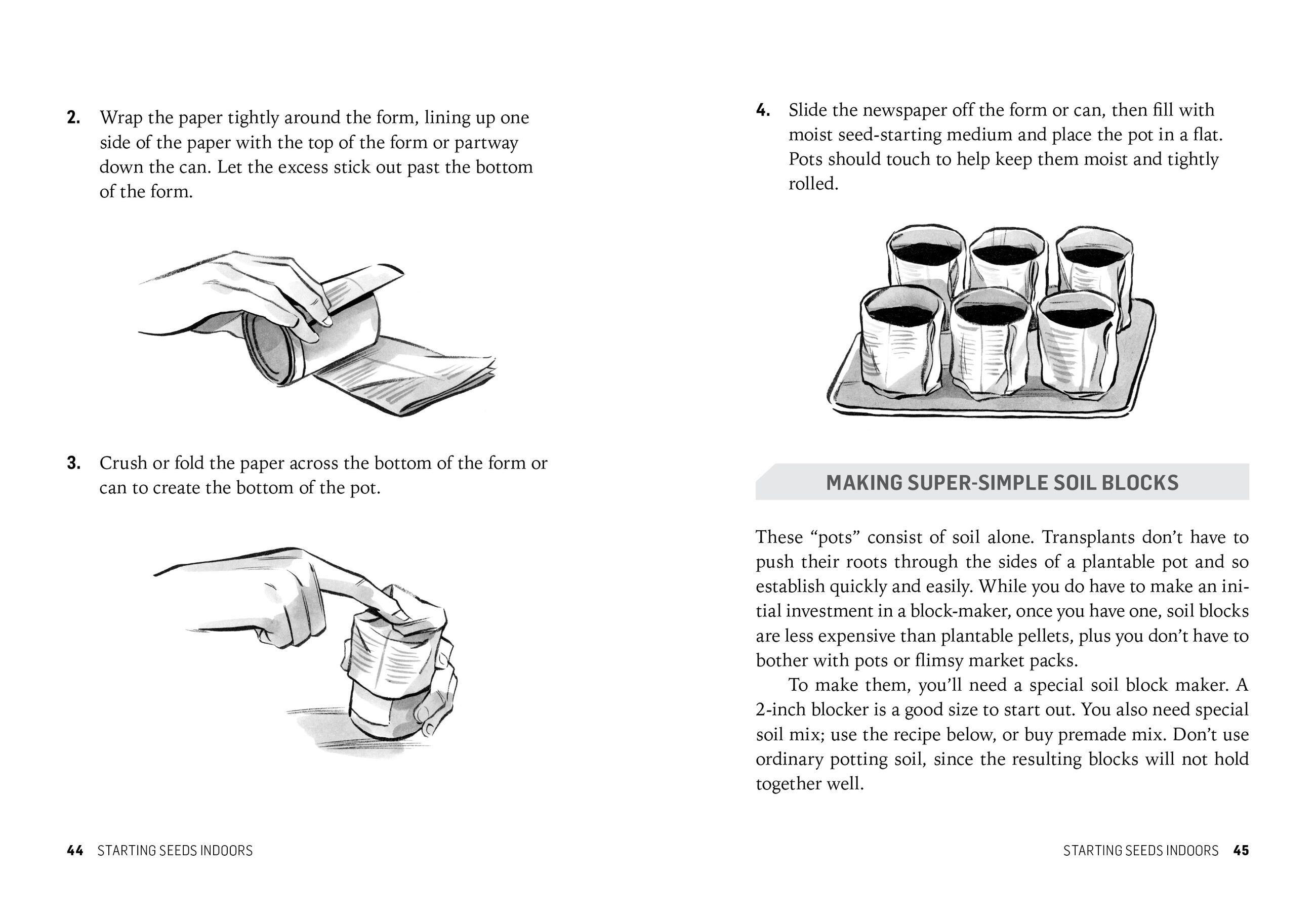 Beispielinhalt (Bild) Starting Seeds