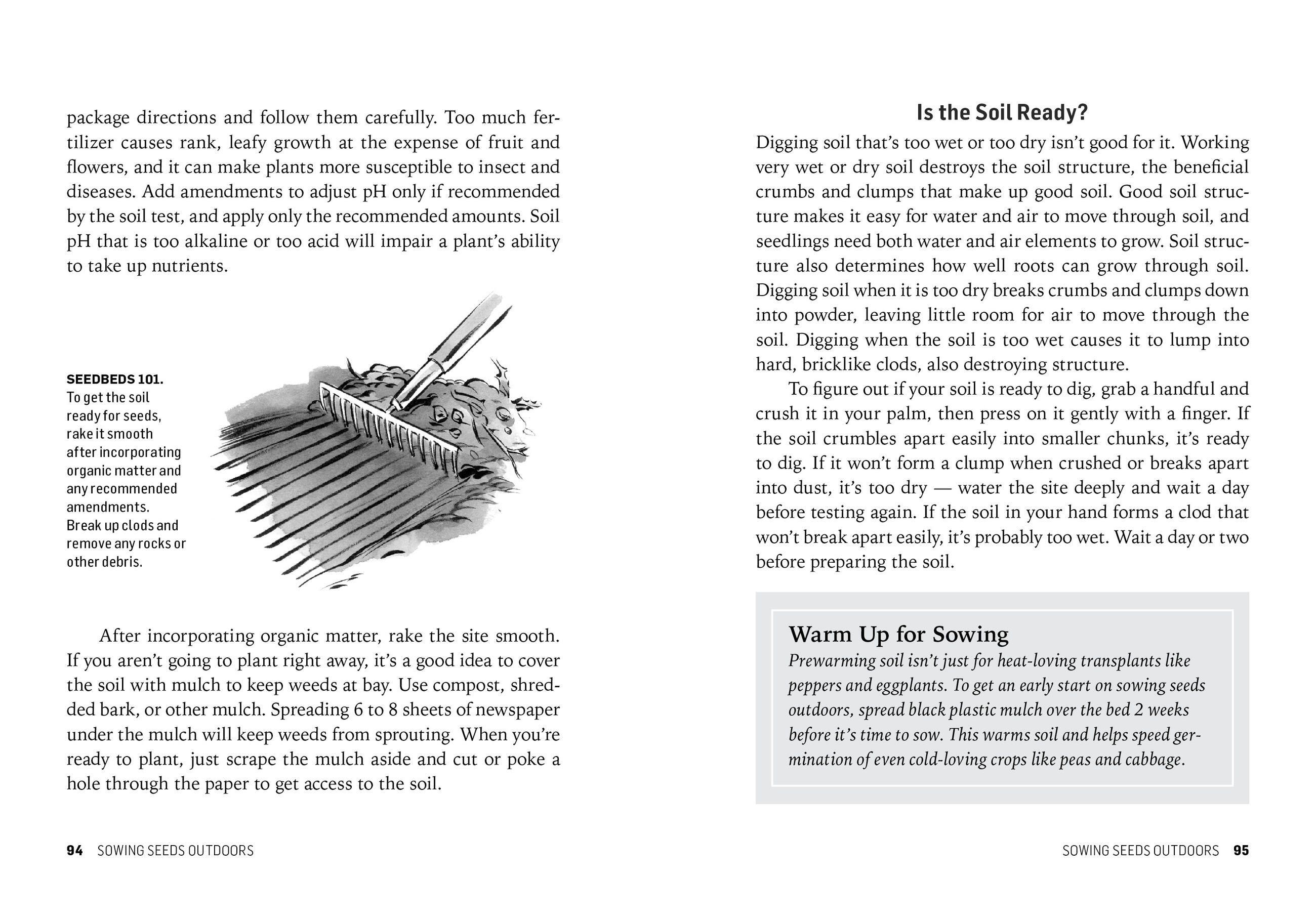Beispielinhalt (Bild) Starting Seeds