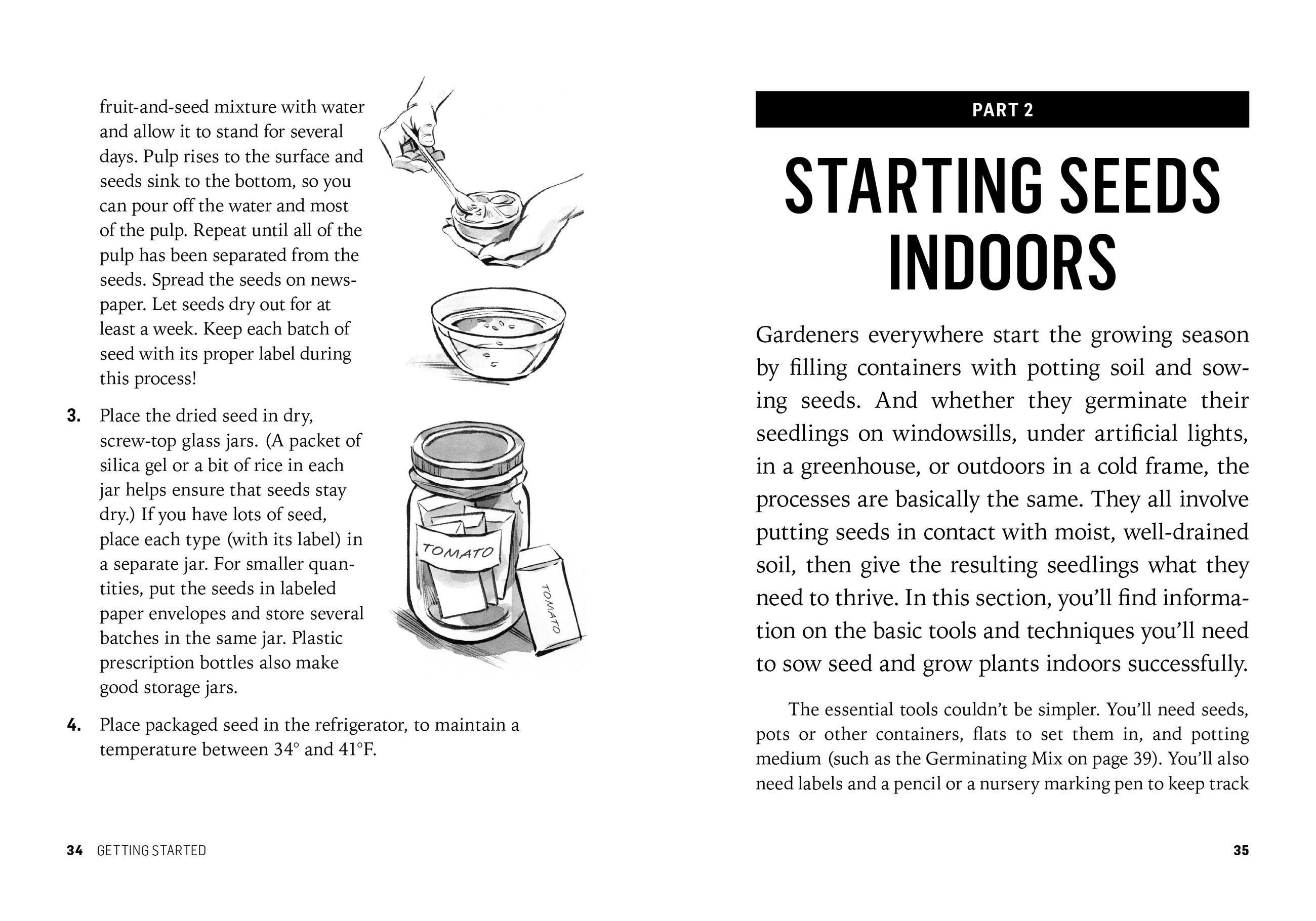 Beispielinhalt (Bild) Starting Seeds