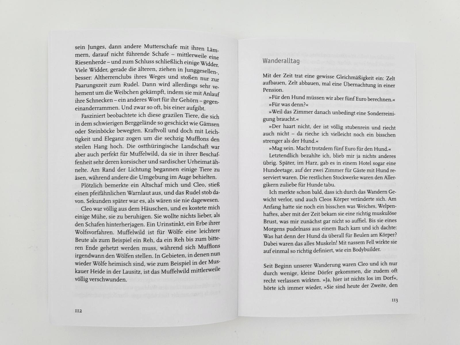 Beispielinhalt (Bild) Ein deutscher Wandersommer